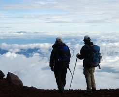 山頂からの眺望