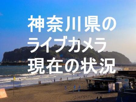 神奈川県のライブカメラ