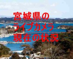 宮城県の海岸