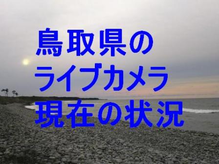 鳥取 砂丘 ライブ カメラ