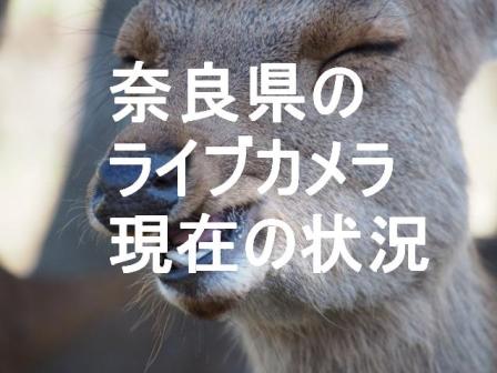 奈良県のライブカメラ