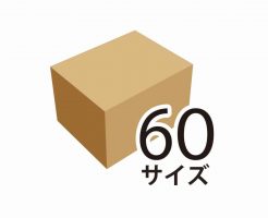 60サイズのダンボール箱