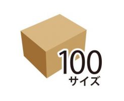 100サイズのダンボール箱