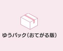 ゆうパック(おてがる版)イラスト