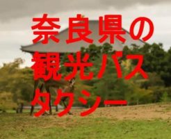 奈良県の観光バス・タクシー